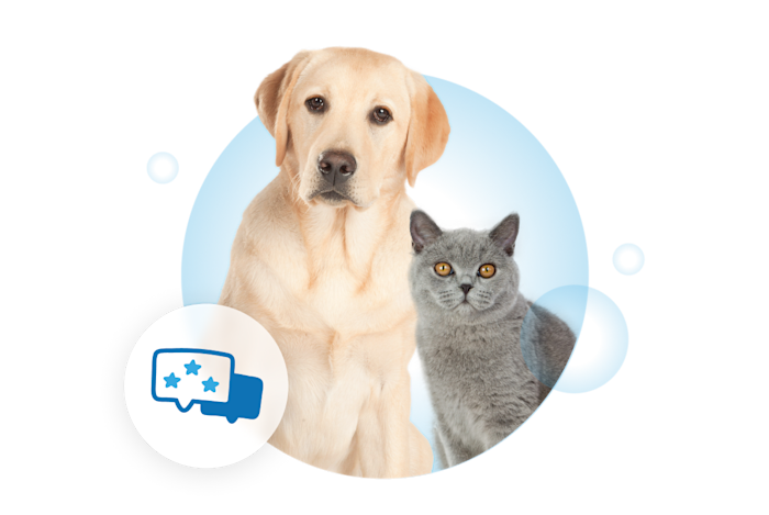 Visual Page Temoignage V2