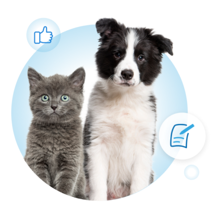 Visual Page Docs Utiles