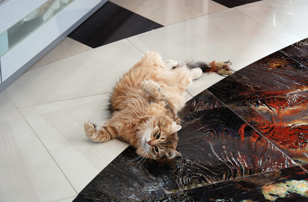 chat qui a chaud allonge sur le carrelage
