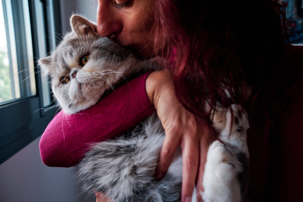 calin chat humain