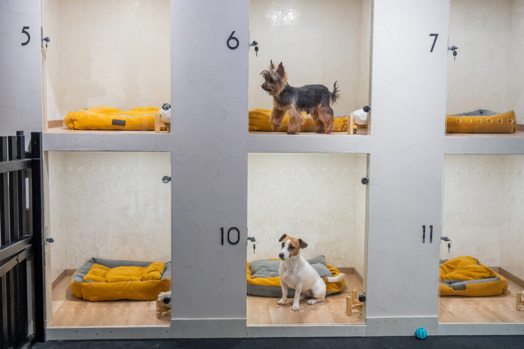 hotel pour chien composé de cases avec deux chiens 